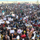 Chennai-Jallikattu-Bull-Narendra Modi